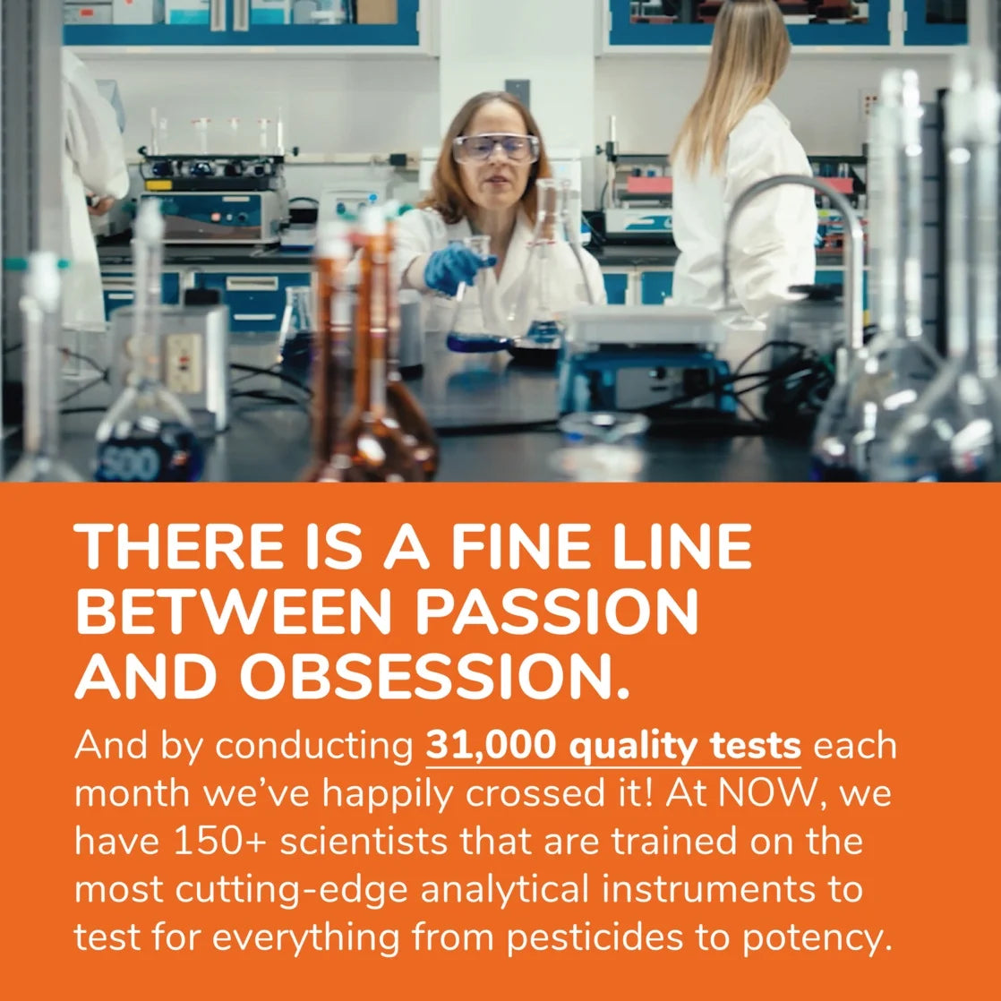 Supplements, L-Theanine 200 Mg with Inositol, Stress Management*, 120 Veg Capsules